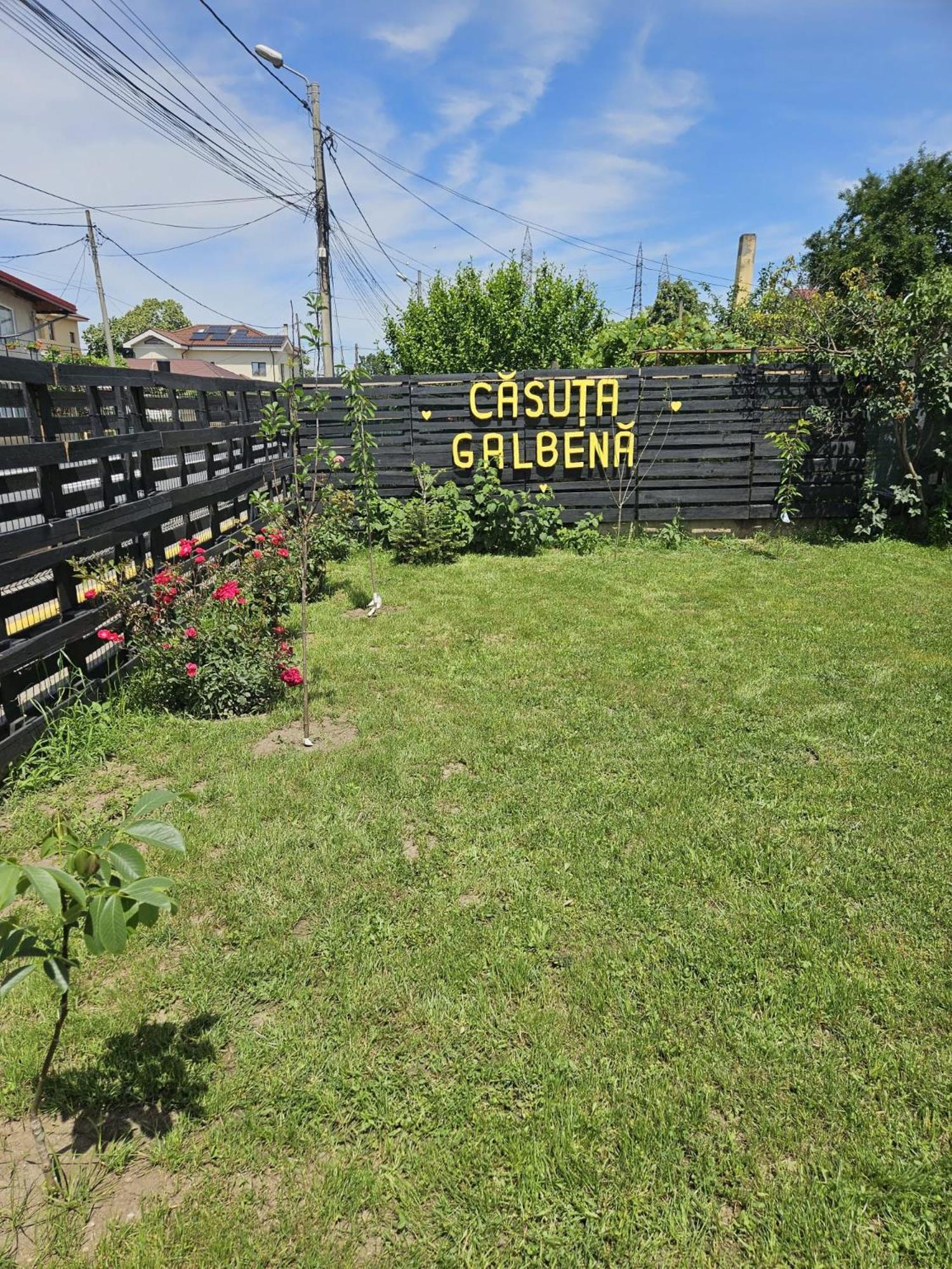 艾福雷诺德Casuta Galbena别墅 外观 照片